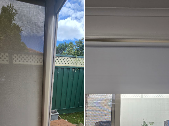 Daniel Scarfe Review